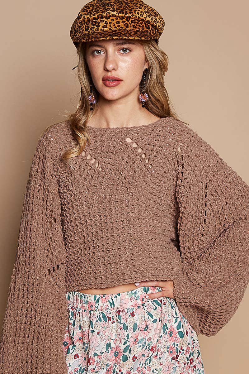 Round neck semi cropped knitted solid sweater